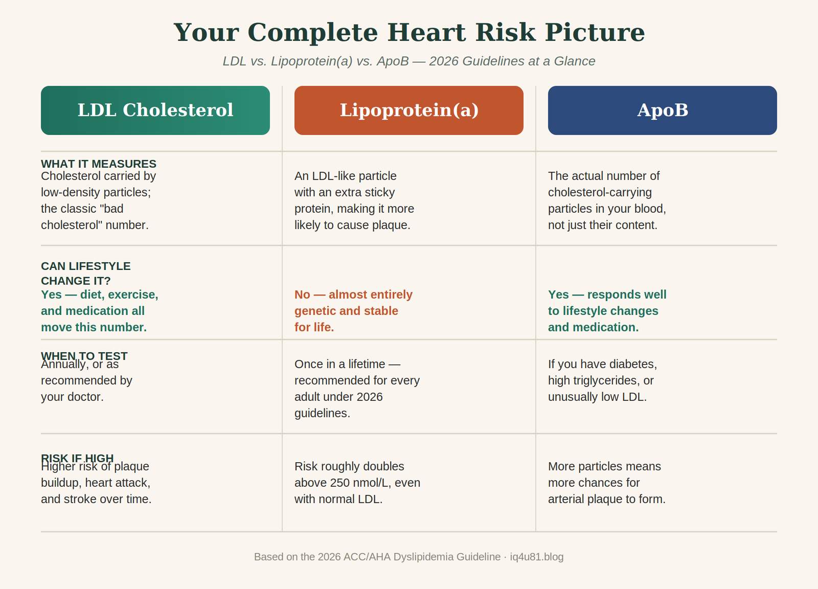 2026 Cholesterol Guidelines Explained: What Lp(a) and ApoB Mean for You 5 Infographic comparing LDL, Lipoprotein(a), and ApoB cholesterol markers under 2026 guidelines